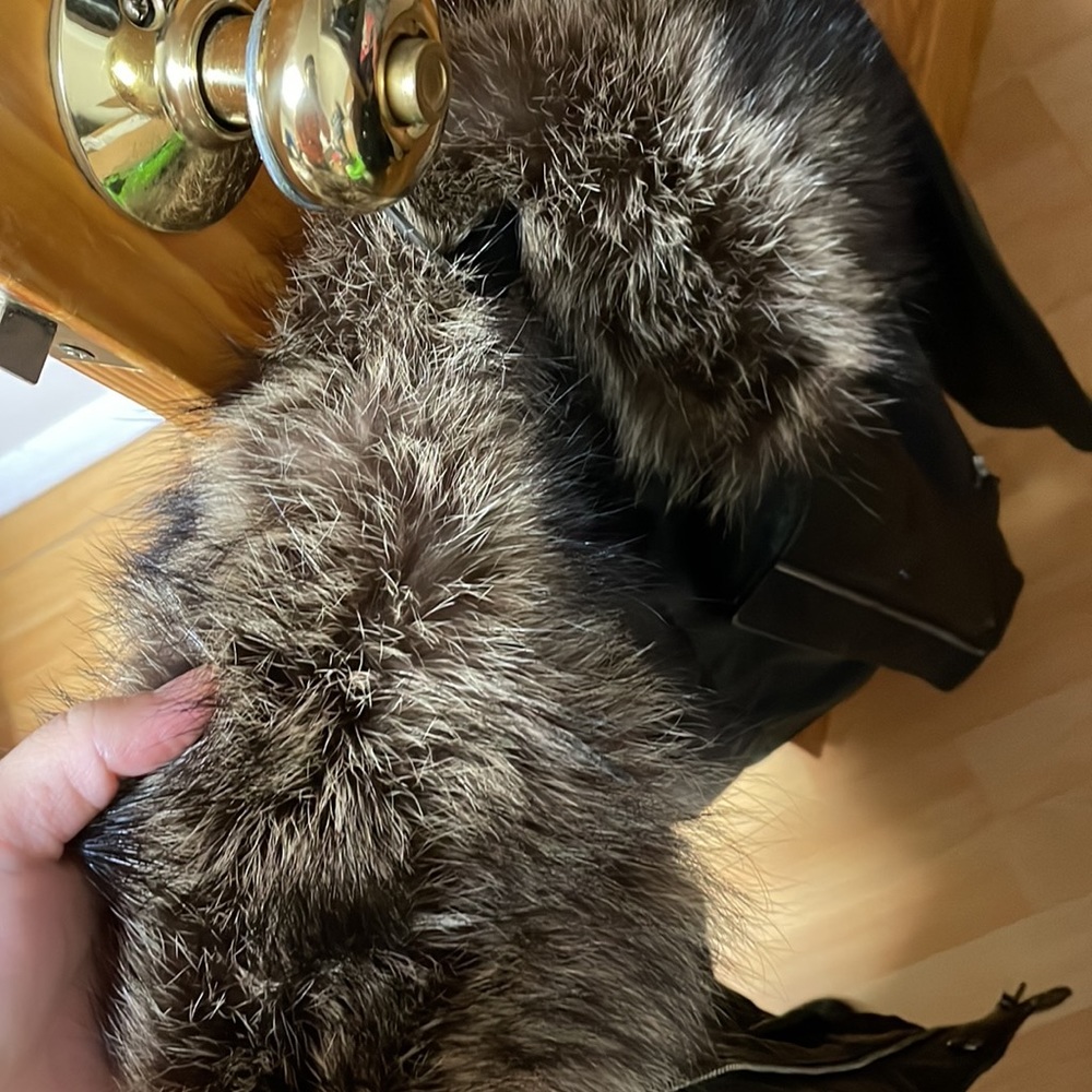 Raccoon collar and real leather jacket - Picture 5 of 6